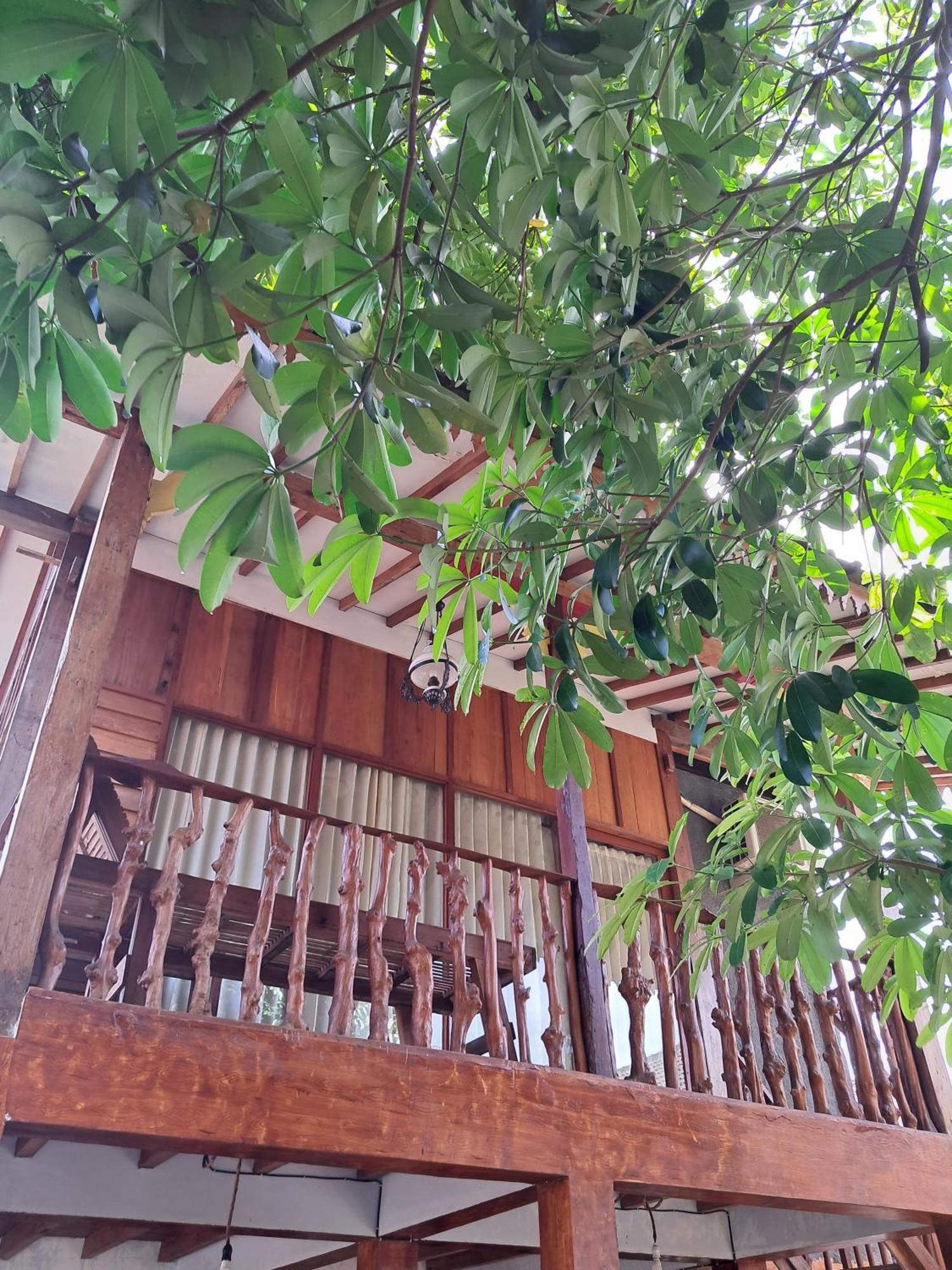 Diana'S Homestay Banyuwangi  Dış mekan fotoğraf